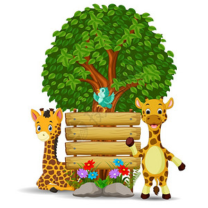 两只长颈鹿在空木牌前插画