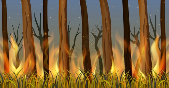 森林着火素材森林中的树木着火了插画
