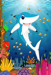 深海蓝色鲨鱼图片