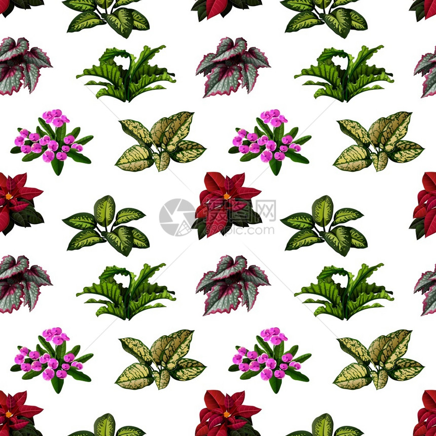 美丽花朵植物矢量元素背景图片