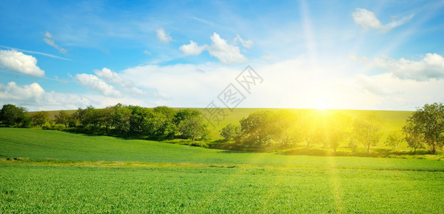 绿地和太阳在蓝天上云彩明亮照片宽广日出高清图片素材