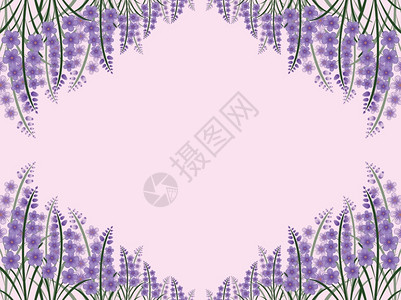紫色花朵贺卡模板背景边框背景图片