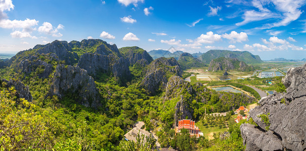 一整个腊肉整个公园夏天的一在泰国背景