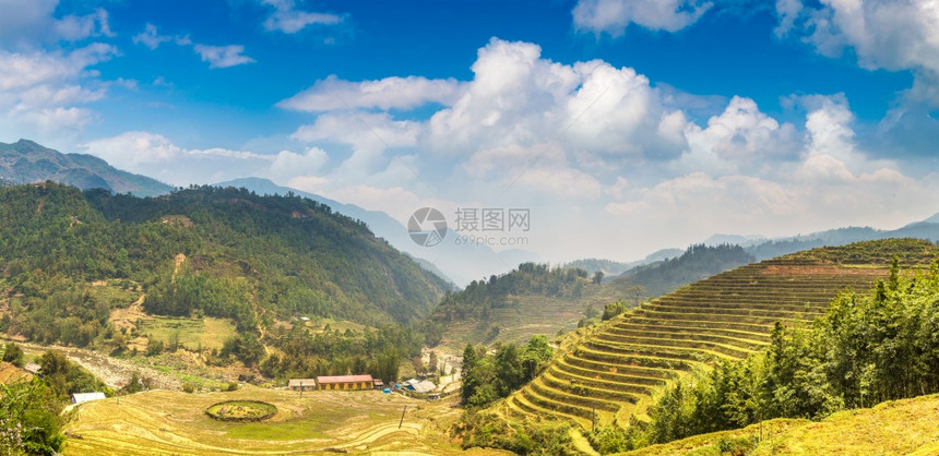 夏季日萨帕拉罗卡伊比特南的梯田图片