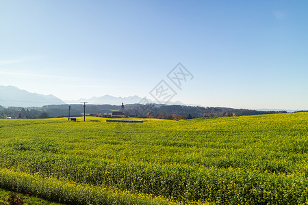 美丽的秋天乡村景观绿地农田位于清蓝的天空和奥斯特里亚山脉的轮廓下秋天风景绿地农田和蓝天空奥斯特里亚背景图片