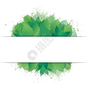 水彩喷洒绿色叶子明信片框架矢量元素图片