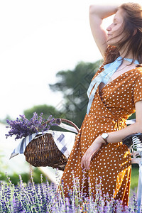 彩虹花田里有一辆旧自行车和篮熏衣草的女孩背景图片
