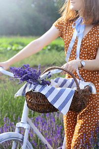 彩虹花田里有一辆旧自行车和篮熏衣草的女孩背景图片