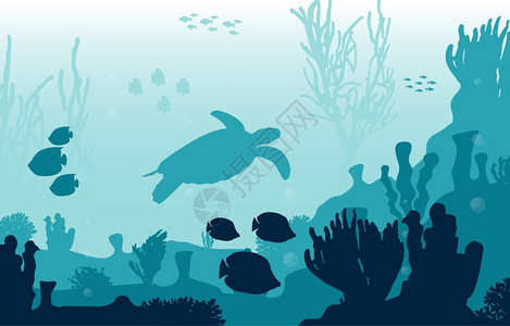 海龟潜水探索珊瑚海草珊瑚礁海底风光图片
