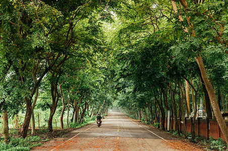 细辛5月31日208年7月3日泰兰清红鲜绿树隧道和平铺路当地人骑着一辆浅色摩托车背景