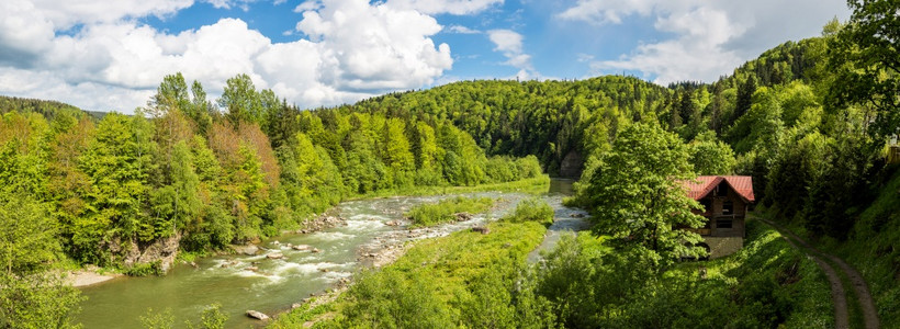 喀尔巴阡森林中的山河全景在一个美丽的夏日乌黑背景图片