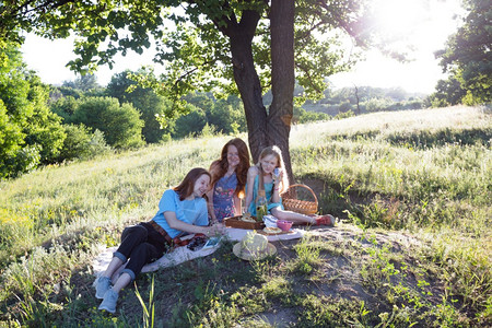 快乐的家庭在草地野餐图片