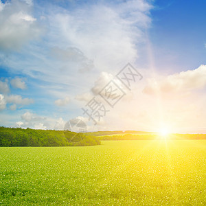 绿地蓝天空云彩明亮的日出在地平线上蓝色高清图片素材