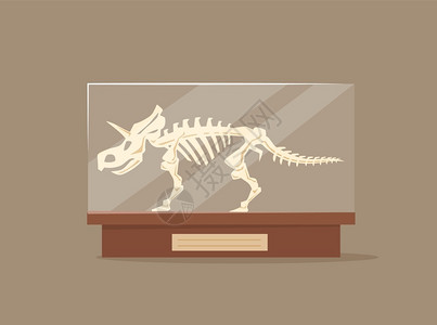三角龙恐龙化石考古展览图片