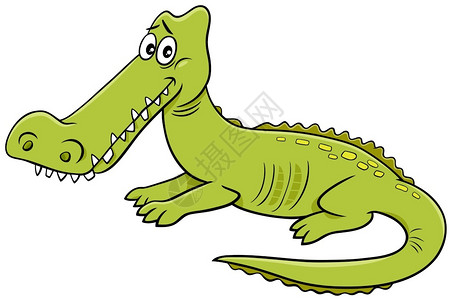 滑稽鳄鱼野兽品的漫画插图图片