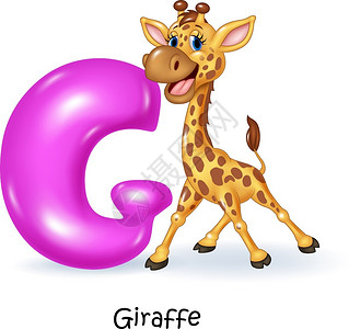 长颈鹿g字母插图图片
