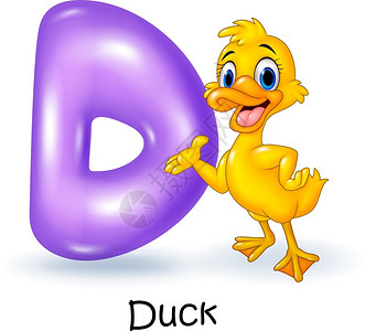 鸭子D字母插图背景图片