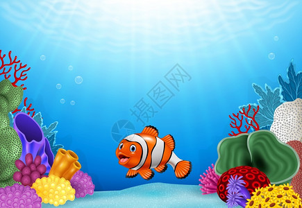 海底世界和可爱小丑鱼图片