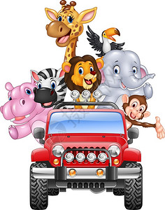 红色汽车中的可爱动物矢量插图图片