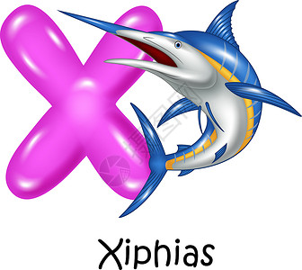 卡通旗鱼用于X字母的exphias插图背景