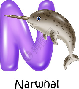 Nrwhal的n字母插图图片