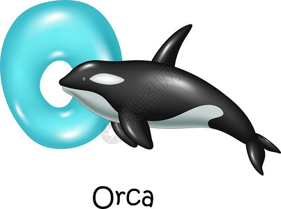 orca的字母插图图片