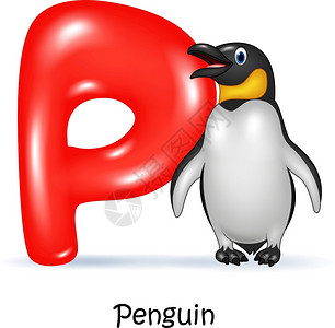 企鹅的p字母插图图片