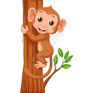 猴子爬树爬树的可爱猴子插画