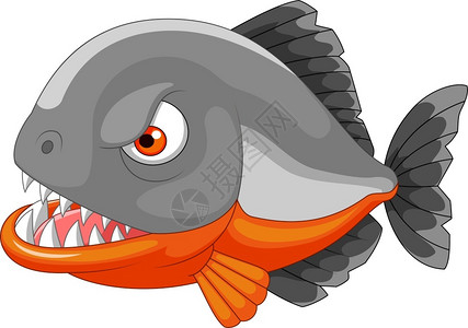 可怕食人鱼愤怒的食人鱼插画