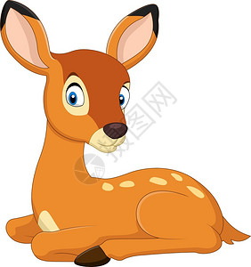 食草小鹿摄影可爱的小鹿插画