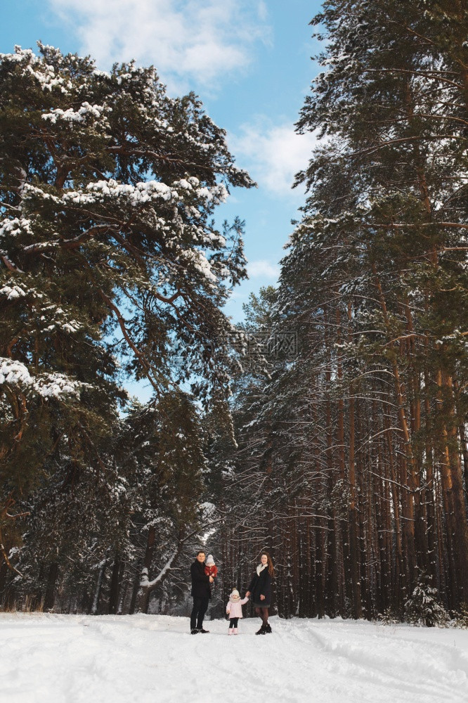 时尚的妈爸女儿和小子在冬季森林中散步家庭有愉快的时光在一起从远处看有选择焦点时尚妈女儿和小子在冬季森林中散步从远处看有选择焦点图片