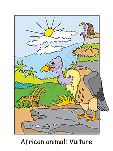 带彩色的非洲地区长颈鹿和秃鹫插图用于学龄前教育背景图片
