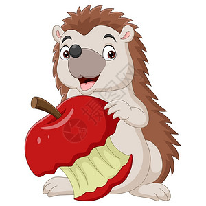 卡通可爱刺猬抱着红苹果图片