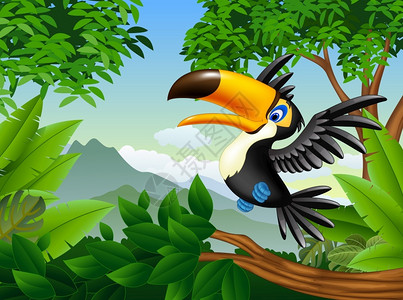 亚马逊森林丛林中的巨嘴鸟插画
