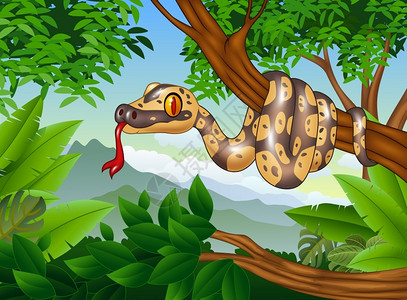 亚马逊森林卡通蛇爬在树枝上插画