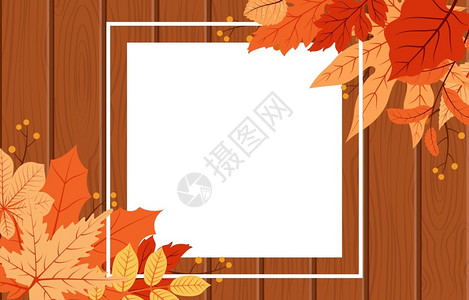 木质笔筒边框秋天枫叶背景边框插画
