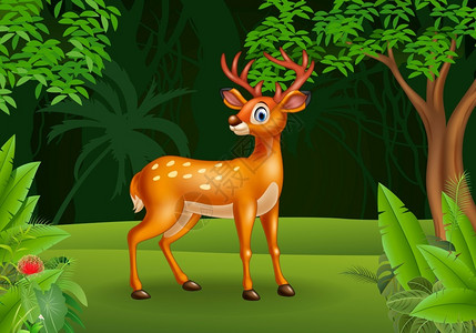 食草小鹿摄影丛林中的卡通鹿插画