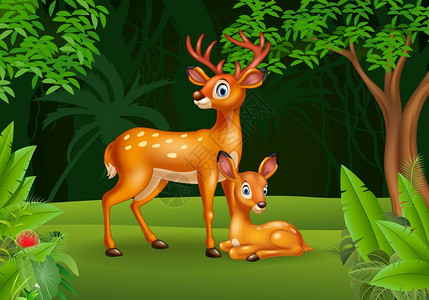 食草小鹿摄影卡通可爱的小鹿和它的妈妈插画