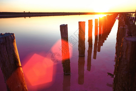 清晨粉红色盐湖的美丽景观被摧毁的大坝木质残骸木制的高清图片素材
