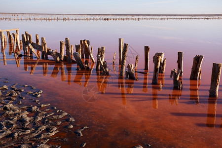 清晨粉红色盐湖的美丽景观被摧毁的大坝木质残骸健康高清图片素材