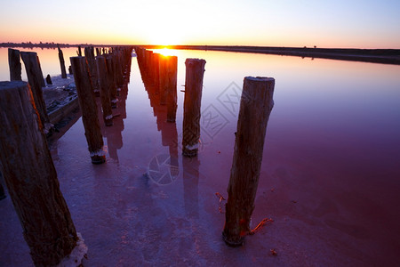 清晨粉红色盐湖的美丽景观被摧毁的大坝木质残骸吐高清图片素材