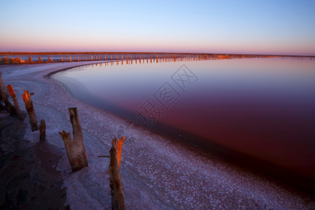 清晨粉红色盐湖的美丽景观被摧毁的大坝木质残骸咸咸的高清图片素材