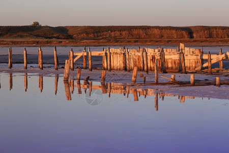 清晨粉红色盐湖的美丽景观被摧毁的大坝木质残骸墙纸高清图片素材