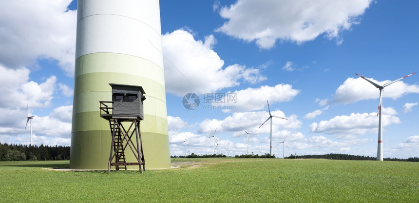 在阳光明媚的夏日青草蓝天空和白云绿草中风涡轮机和德国菜叶中的高座位图片
