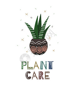 照顾家用植物花朵字母和花样照顾植物给卡片横幅文章和你的创造力照顾植物图片