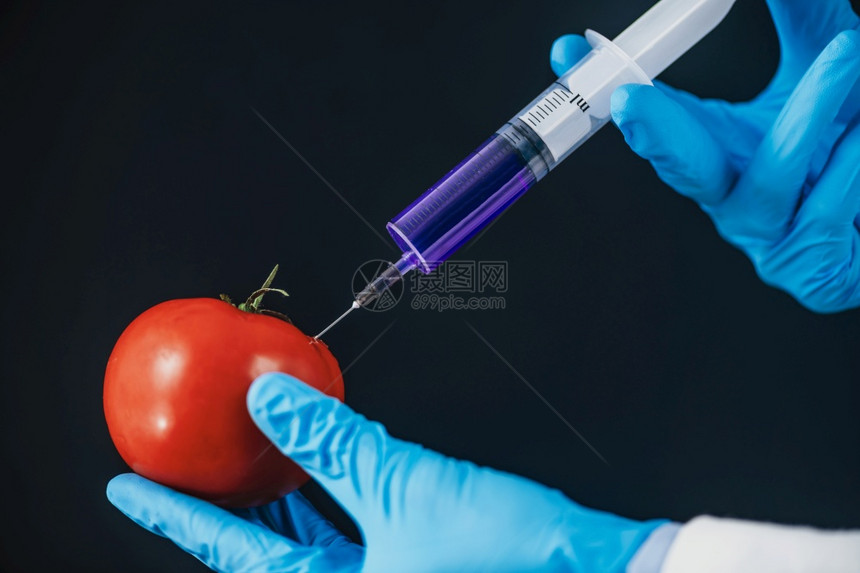 转基因工程食品概念将化学注入番茄黑背景图片