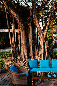 Chiangmthlnd蓝沙发图片