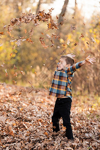 可爱的小男孩在阳光明媚的秋天的公园里图片