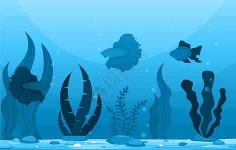 深海世界蓝色水生动植物蝴蝶鱼背景图片