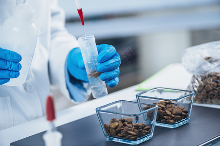 食用宠物品检测实验室微生物学家用采样的干宠物食品在试管中浇水背景图片